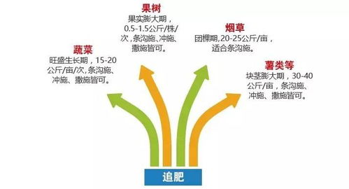 揭秘肥料4.0科技內幕 諾泰爾五星產品您需要知道這些！